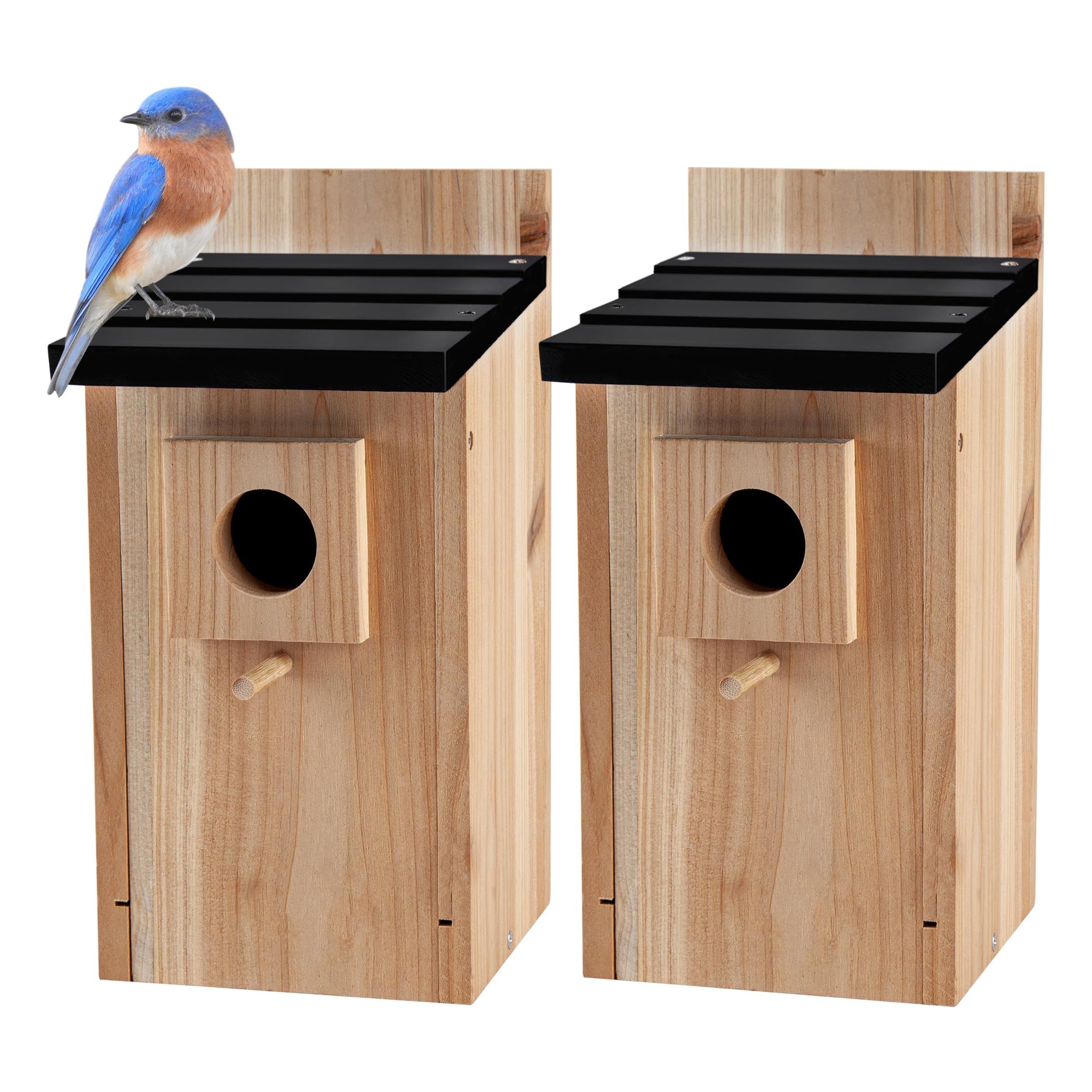 Birdhouse